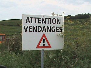 Warning-Vendanges300