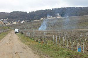 White-van-in-the-vineyard300