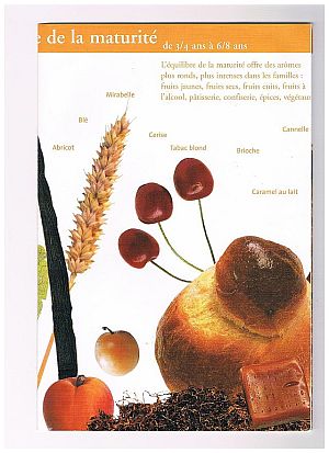 Development-of-aromas-3-300