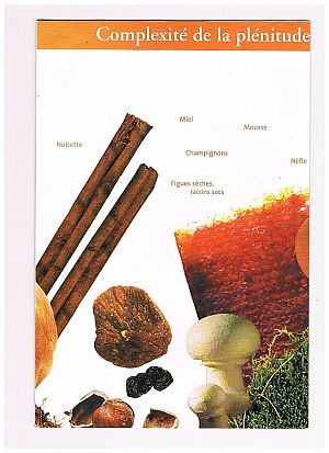 Development-of-aromas-4-300