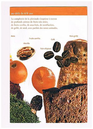 Development-of-aromas-5-300
