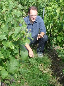 Learning-about-Enherbement225