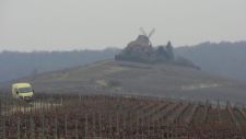 Moulin-across-pruned-vines225