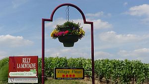 Entrance to Rilly-La-Montagne300