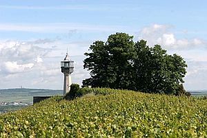 Lighthouse-at-Verzenay300