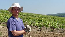 Planting-new-vines225
