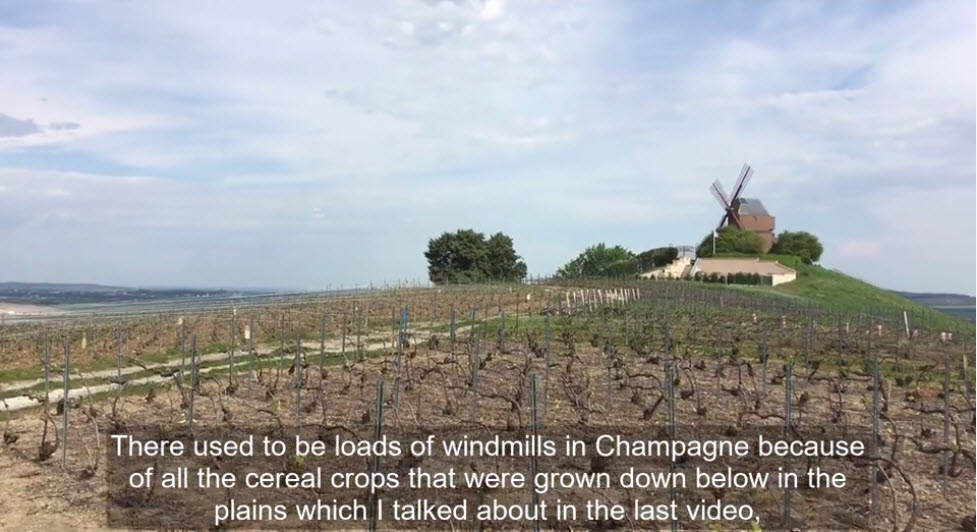 Balades dans les Vignes 2 cover image