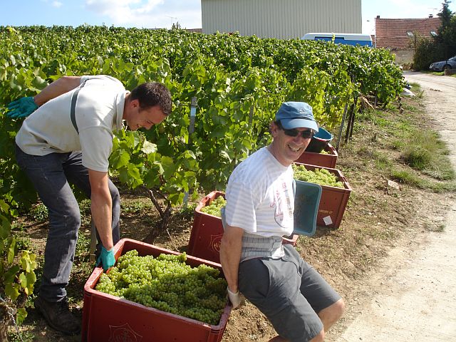 Handling the caisses
