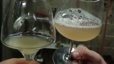 Chardonnay-and-Pinot-Noir-for-web-site