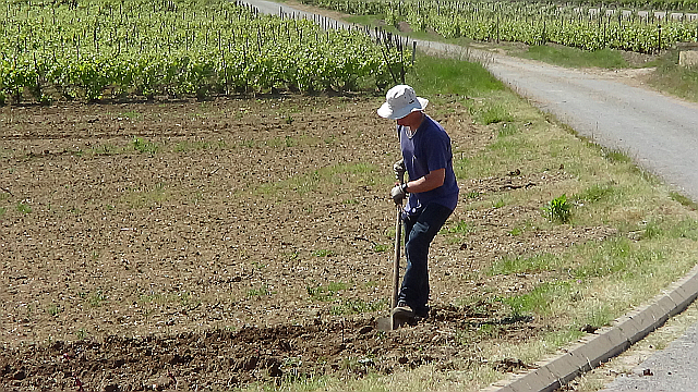 Planting on your own