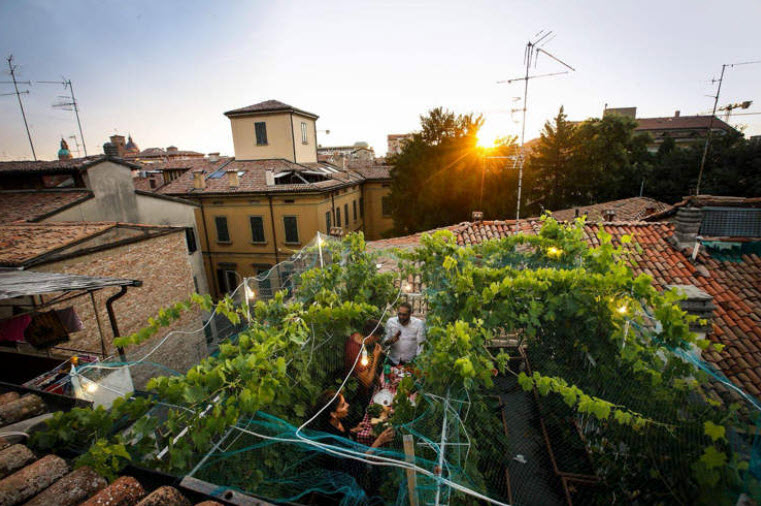 Smallest vineyard