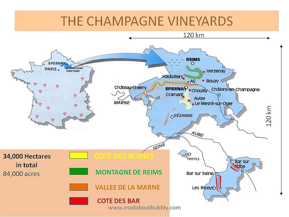The Champagne vineyards