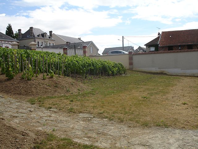 The wonders of Appellation