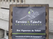 Tasting grower Champagne - Terriors et Talents